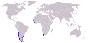 Phalaropus fulicarius distribution 2.png