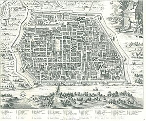 Pieter van der Aa, map of Pavia