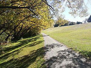 Queenstown Trail Frankton near the Frankton Arm