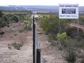 Rabbit proof fence in 2005