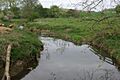 River Cherwell, Trafford Bridge