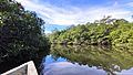 Ruta marina a través de manglares Isla Cañas Panama