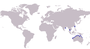 S. ingenuua distribution map.png