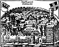 Saal-Ingelheim-Cosmographia-1628