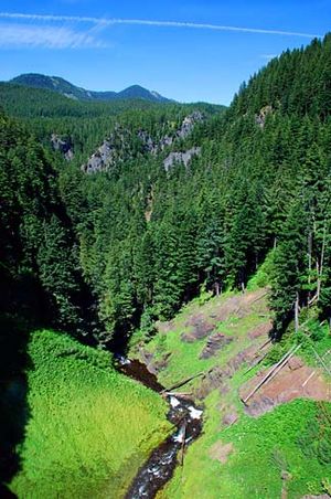 Salt Creek Falls Area (Lane County, Oregon scenic images) (lanDA0037a).jpg