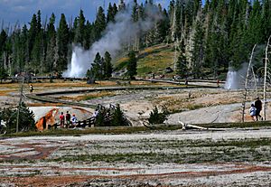 Sawmill and Grand geysers erupting in Yellowstone NP