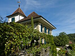 Schloss Bremgarten Südseite.jpg