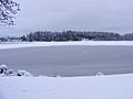 Scott Lake (Washington), 2008-12-21