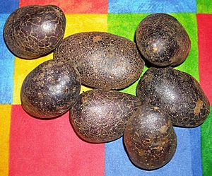 Shetland Black potatoes.jpg