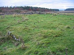 The site of Milecastle 30 at Limestone Corner