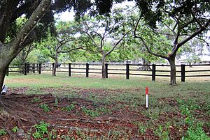 Sunnyside Sugar Plantation (former) burials area (2013)