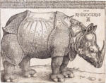 The Rhinoceros (NGA 1964.8.697) enhanced