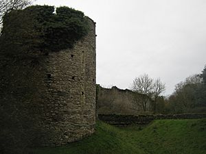 Walls of Saltwood Castle and Moat