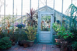 Wave Hill Conservancy Greenhouse Interior