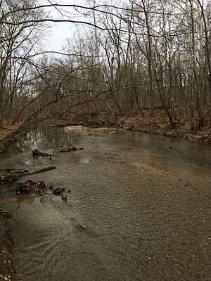 Williams Creek, Indianapolis, Indiana