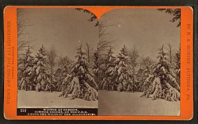Winter at Cresson, summer resort, on the P. R. R. among the wilds of the Alleghenies, by R. A. Bonine 4