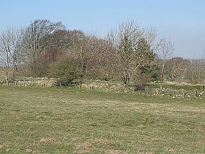 (The site of) Turret 22a - geograph.org.uk - 1234724