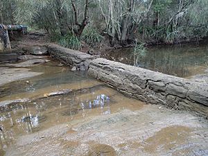 1989 - Lucas Watermills Archaeological Sites - Brisbane Mill (5063418b4).jpg