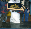 2006 Trafalgar Cup winner Horseshoe Ping