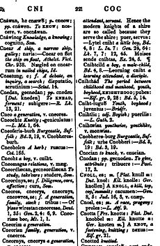 Adictionaryangl02boswgoog 0294