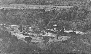 Aerial view of Km 75 Ruins
