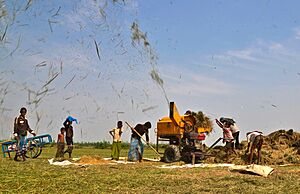 Agriculture of Bangladesh 10