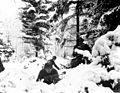 American 290th Infantry Regiment infantrymen fighting in snow during the Battle of the Bulge