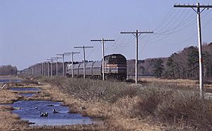 Amtrak downeaster scarborough marsh 2002