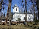 Biserica Sf. Nicolae din Liteni2.jpg