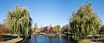 Boston Public Garden (36008p)