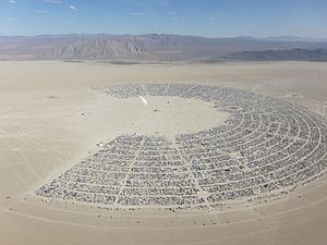 Burning Man aerial