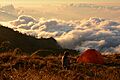 Camping above the clouds at Rinjani
