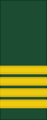 Canadian Army (sleeves) OF-5
