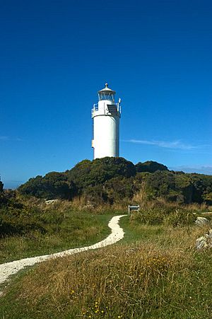 Cape Foulwind lighthouse.jpg