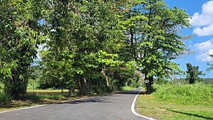 PR-676 in Vega Alta