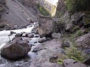 Cayoosh creek B.C. - panoramio