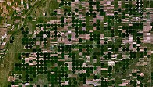Satellite view of Lewis and surrounding center-pivot irrigation farms (2005)