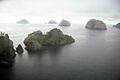 Chiswell Island Group, Gulf of Alaska, 1989