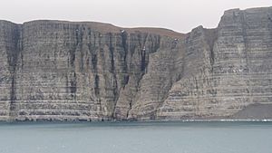Cliffs along the south-west face of Prince Leopold Island, September 2019