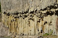 Columnar basalt closeup nabij Tower Fall in Yellowstone