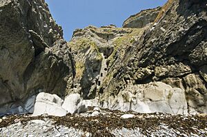 Culver-Hole - geograph.org.uk - 1454563