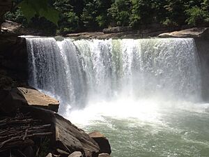 Cumberland falls 2015 1.jpg