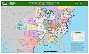 EABMap2017