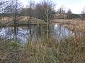 Eglinton settling pond