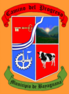 Official seal of Bayaguana