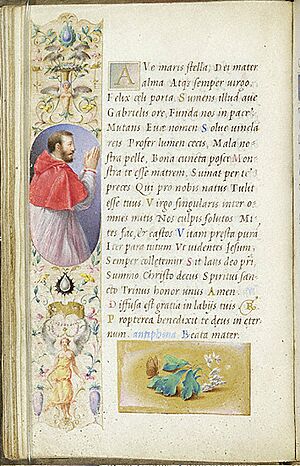 Farnese hours. M.69