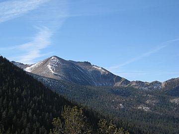 Freel Peak from Tahoe Rim Trail.jpg