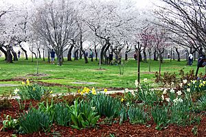 German-American Friendship Garden