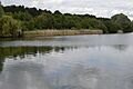 Hilfield Park Reservoir 23