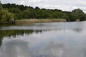 Hilfield Park Reservoir 23